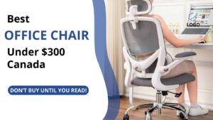 Best Ergonomic Office Chair Under 0