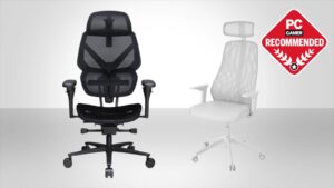 10 Best Ergonomic Chair Options for Your Daily Desk Work
