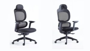 10 Best Ergonomic Office Chairs Under 300 for Daily Comfort