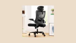 Best Desk Chair Under 0