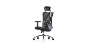 Best Ergonomic Office Chair Under 0